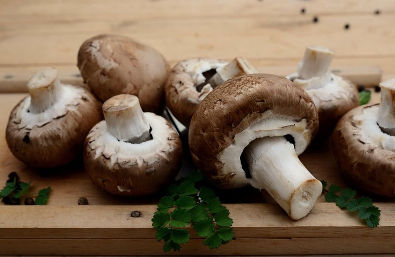 Ingredient Substitution Guide